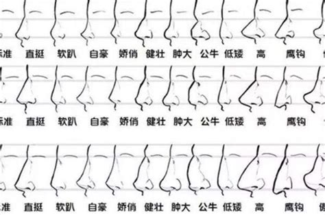 鼻子面相学|相学最有福气的7种鼻子 面相中最有福气的7种鼻子